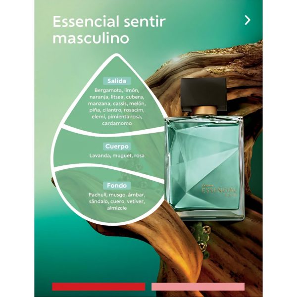 Essencial Sentir Masculino 100ml eau de Parfum